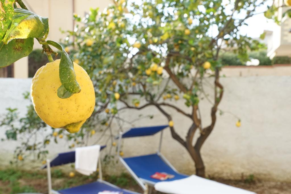 Bono Vacanze Casa Bono شاكا المظهر الخارجي الصورة